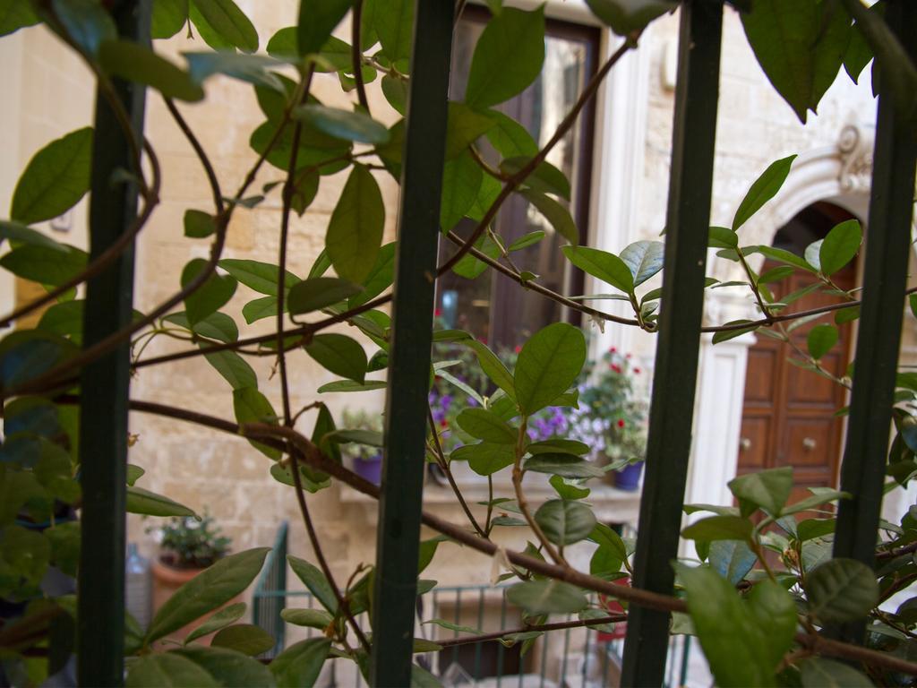 Corte Dell' Idume *