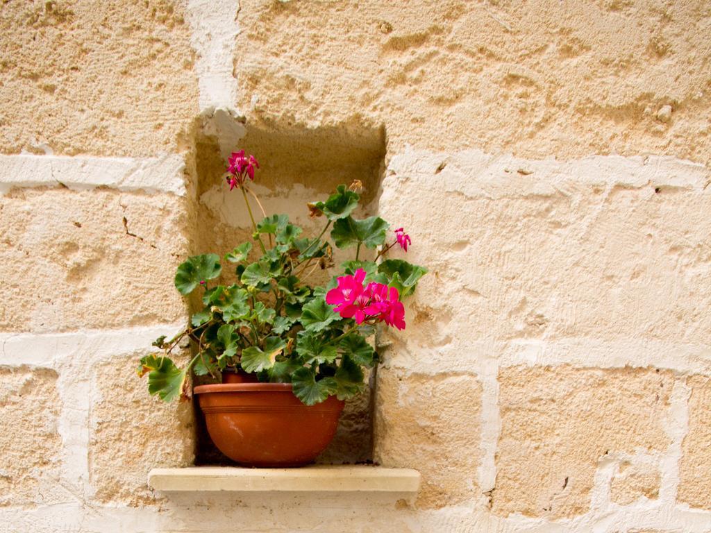 Corte Dell' Idume Appartement *